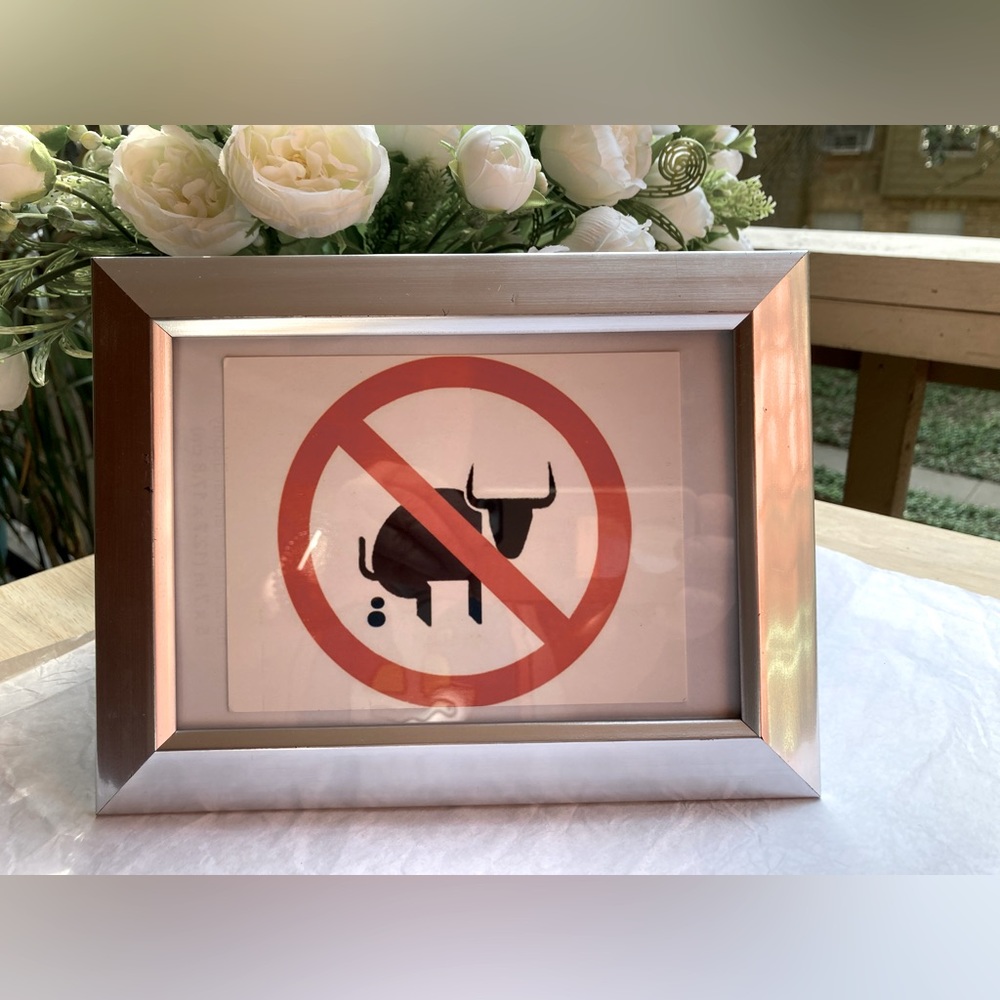 NO BS graphic Framed in silver toned lightweight frame Office Desk  Decoration